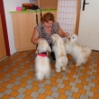 11/2012 - nvtva u Amy v Domovince