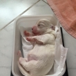Damion Angela 1/9/15