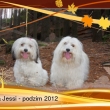Ani + Jessi - podzim 2012